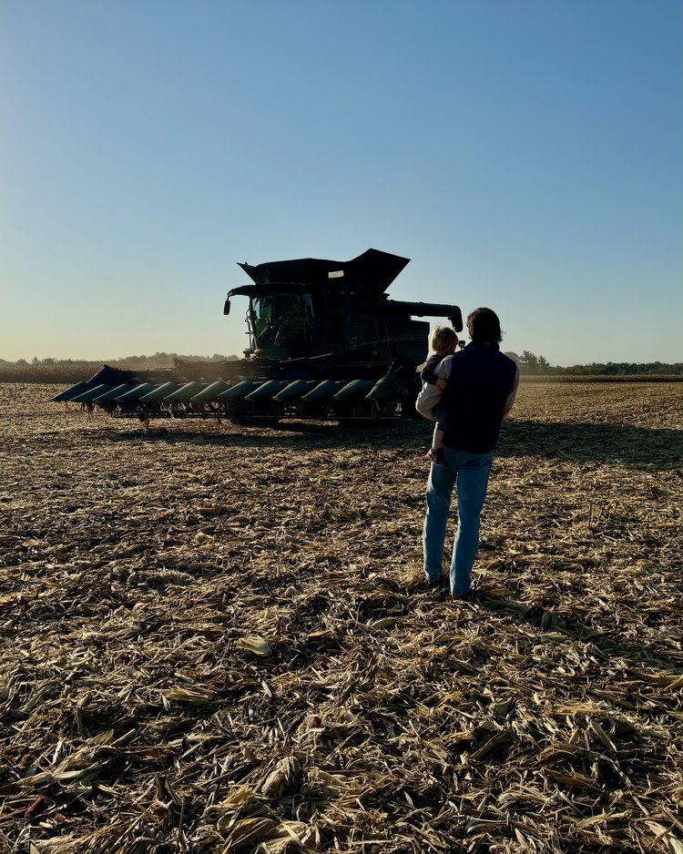 There is something about harvest